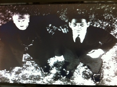 Looking up at Polly from the base of the trapeze.